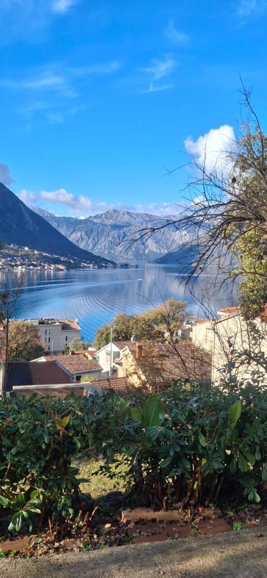 Milka apartment Kotor Bagian luar foto