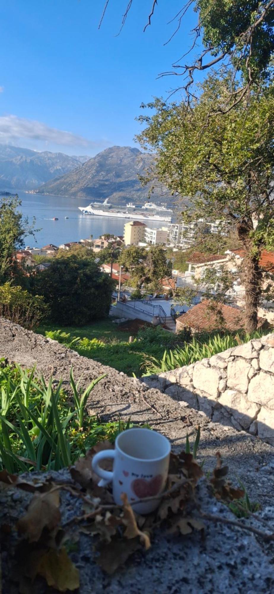 Milka apartment Kotor Bagian luar foto